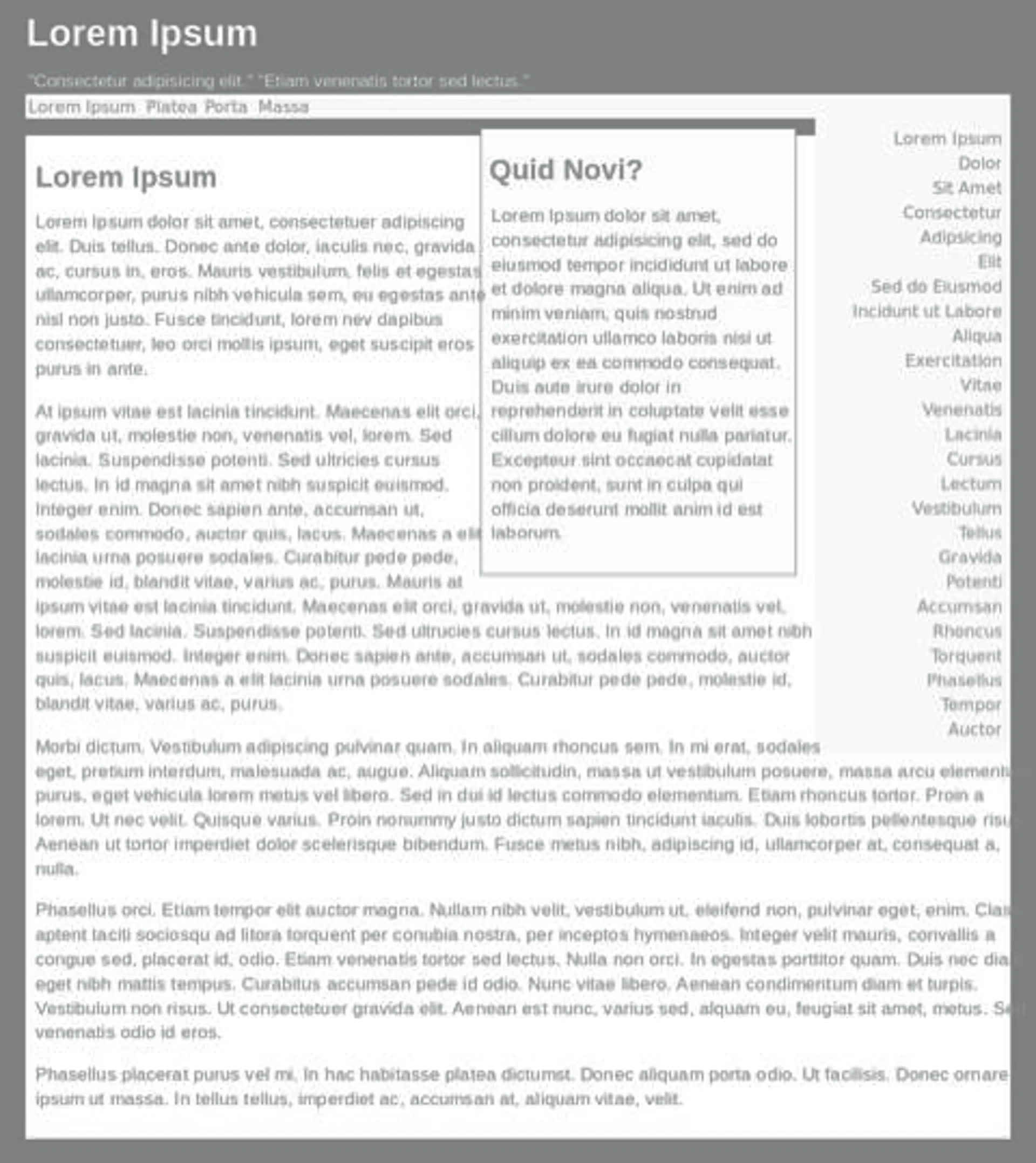 Site Web avec Lorem Ipsum